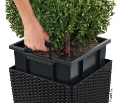 LECHUZA® Lechuza Pflanzgefäße & Töpfe|Blumentöpfe & Übertöpfe > Kunststoff-Topf Cube Cottage, quadratisch