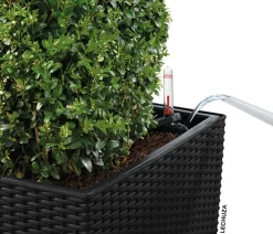 LECHUZA® Lechuza Pflanzgefäße & Töpfe|Blumentöpfe & Übertöpfe > Kunststoff-Topf Cube Cottage, quadratisch