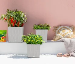 LECHUZA® Lechuza Pflanzgefäße & Töpfe|Blumentöpfe & Übertöpfe > Kunststoff-Topf Cube Cottage, quadratisch