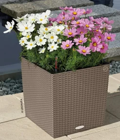 LECHUZA® Lechuza Pflanzgefäße & Töpfe|Blumentöpfe & Übertöpfe > Kunststoff-Topf Cube Cottage, quadratisch