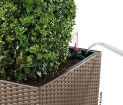 LECHUZA® Lechuza Pflanzgefäße & Töpfe|Blumentöpfe & Übertöpfe > Kunststoff-Topf Cube Cottage, quadratisch