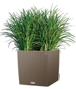 LECHUZA® Lechuza Pflanzgefäße & Töpfe|Blumentöpfe & Übertöpfe > Kunststoff-Topf Cube Cottage, quadratisch