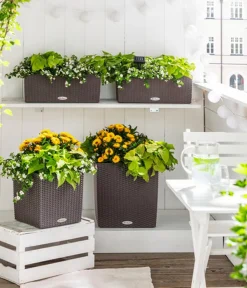 LECHUZA® Lechuza Pflanzgefäße & Töpfe|Blumentöpfe & Übertöpfe > Kunststoff-Topf Cube Cottage, quadratisch