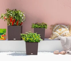 LECHUZA® Lechuza Pflanzgefäße & Töpfe|Blumentöpfe & Übertöpfe > Kunststoff-Topf Cube Cottage, quadratisch