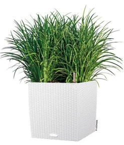 LECHUZA® Kunststoff-Topf Cube Cottage, quadratisch Weiß Best