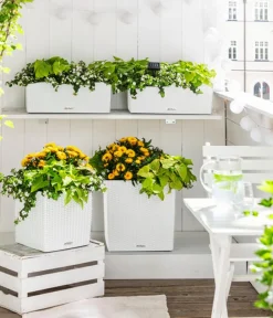 LECHUZA® Kunststoff-Topf Cube Cottage, quadratisch Weiß Best