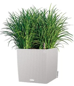 LECHUZA® Kunststoff-Topf Cube Cottage, quadratisch Hellgrau Best
