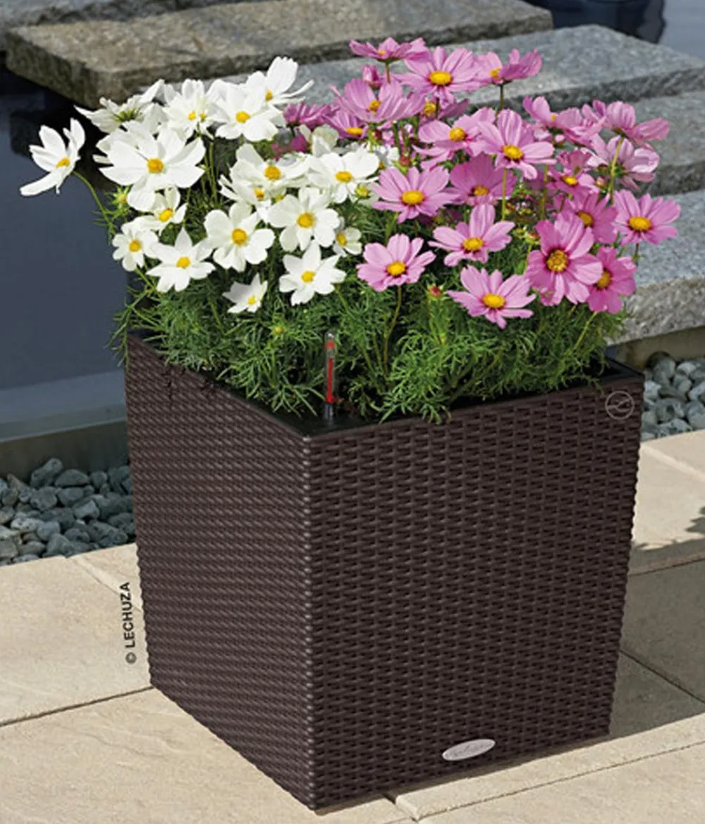 LECHUZA® Kunststoff-Topf Cube Cottage, quadratisch Dunkelbraun New