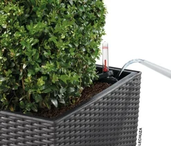 LECHUZA® Lechuza Pflanzgefäße & Töpfe|Blumentöpfe & Übertöpfe - Kunststoff-Topf Cube Cottage, quadratisch Dunkelgrau