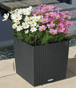LECHUZA® Lechuza Pflanzgefäße & Töpfe|Blumentöpfe & Übertöpfe - Kunststoff-Topf Cube Cottage, quadratisch Dunkelgrau