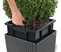 LECHUZA® Lechuza Pflanzgefäße & Töpfe|Blumentöpfe & Übertöpfe - Kunststoff-Topf Cube Cottage, quadratisch Dunkelgrau