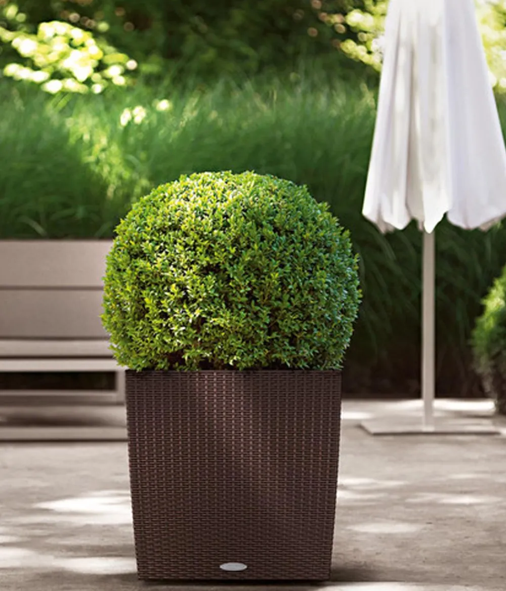 LECHUZA® Lechuza Pflanzgefäße & Töpfe|Blumentöpfe & Übertöpfe - Kunststoff-Topf Cube Cottage, quadratisch Dunkelbraun