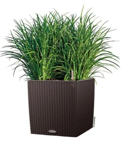 LECHUZA® Lechuza Pflanzgefäße & Töpfe|Blumentöpfe & Übertöpfe - Kunststoff-Topf Cube Cottage, quadratisch Dunkelbraun