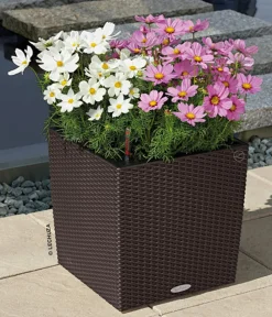 LECHUZA® Lechuza Pflanzgefäße & Töpfe|Blumentöpfe & Übertöpfe - Kunststoff-Topf Cube Cottage, quadratisch Dunkelbraun