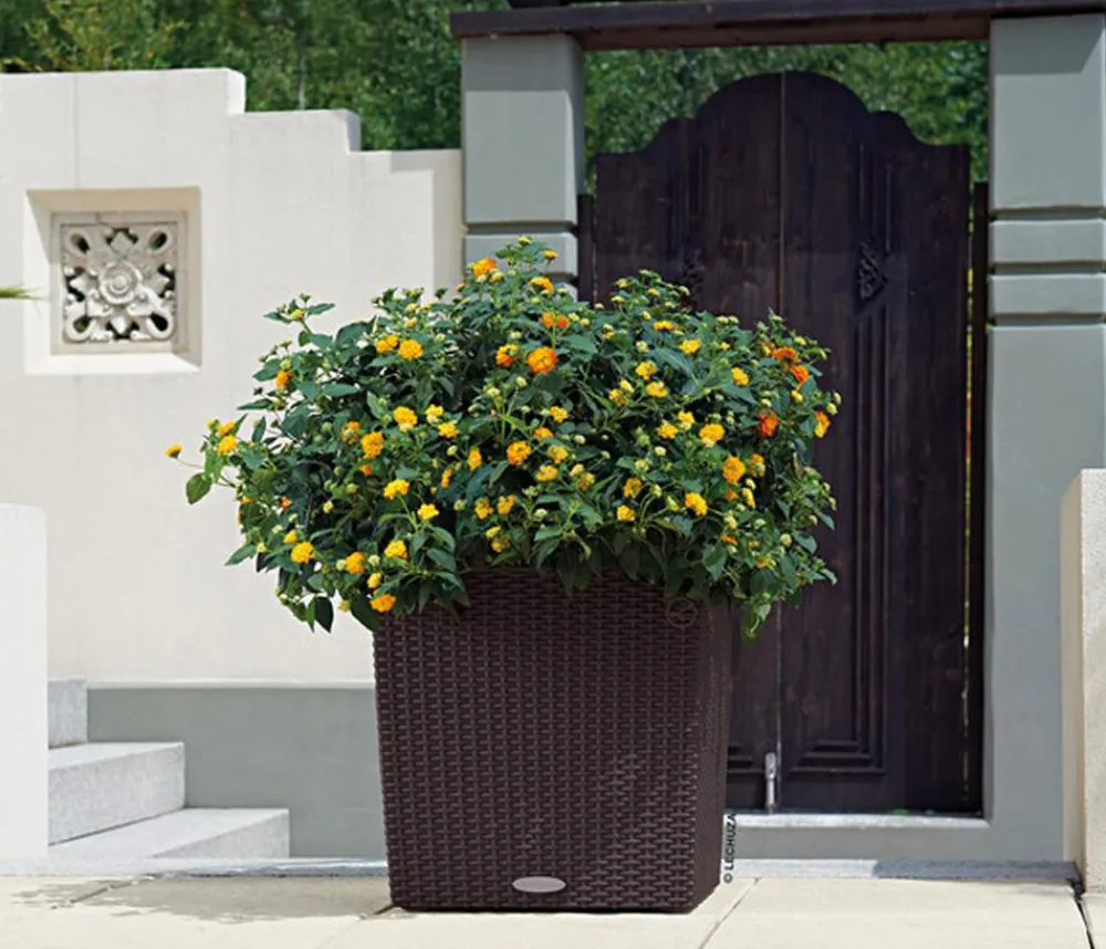 LECHUZA® Lechuza Pflanzgefäße & Töpfe|Blumentöpfe & Übertöpfe - Kunststoff-Topf Cube Cottage, quadratisch Dunkelbraun