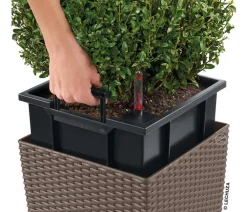 LECHUZA® Lechuza Pflanzgefäße & Töpfe|Blumentöpfe & Übertöpfe - Kunststoff-Topf Cube Cottage, quadratisch Hellbraun