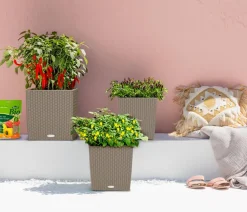 LECHUZA® Lechuza Pflanzgefäße & Töpfe|Blumentöpfe & Übertöpfe - Kunststoff-Topf Cube Cottage, quadratisch Hellbraun