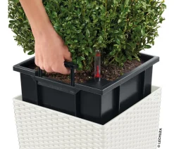 LECHUZA® Lechuza Pflanzgefäße & Töpfe|Blumentöpfe & Übertöpfe - Kunststoff-Topf Cube Cottage, quadratisch Weiß