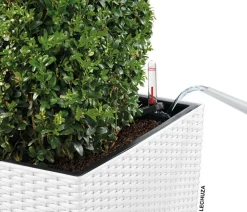 LECHUZA® Lechuza Pflanzgefäße & Töpfe|Blumentöpfe & Übertöpfe - Kunststoff-Topf Cube Cottage, quadratisch Weiß