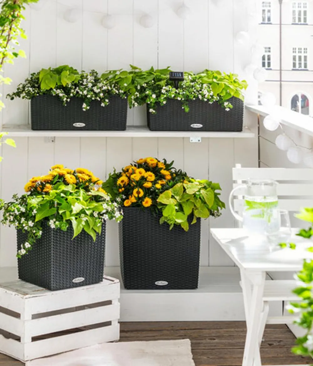 LECHUZA® Lechuza Pflanzgefäße & Töpfe|Blumentöpfe & Übertöpfe - Kunststoff-Topf Cube Cottage, quadratisch Schwarz