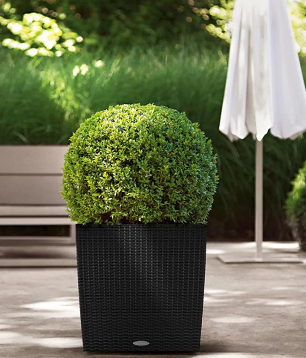 LECHUZA® Lechuza Pflanzgefäße & Töpfe|Blumentöpfe & Übertöpfe - Kunststoff-Topf Cube Cottage, quadratisch Schwarz
