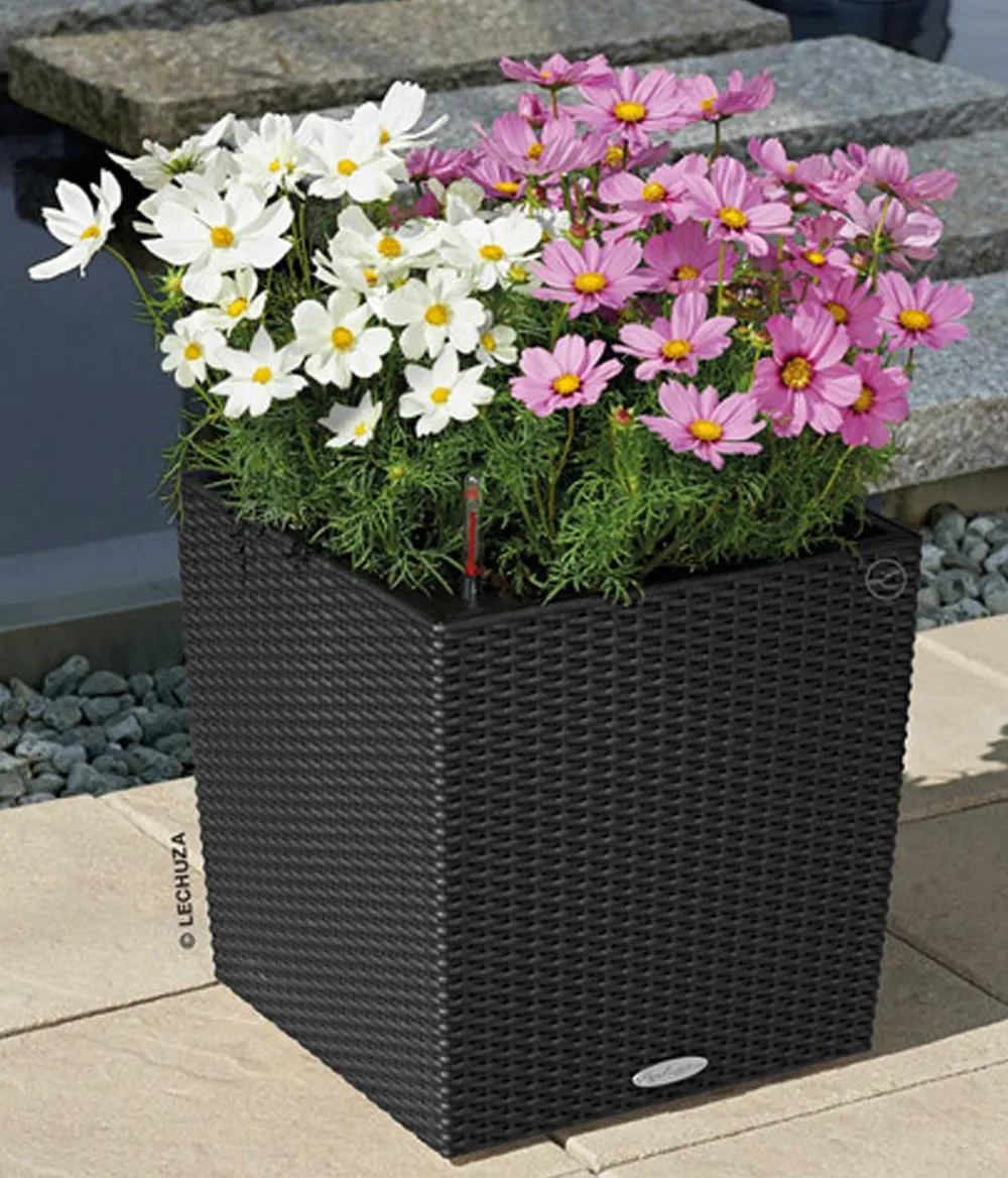 LECHUZA® Lechuza Pflanzgefäße & Töpfe|Blumentöpfe & Übertöpfe - Kunststoff-Topf Cube Cottage, quadratisch Schwarz