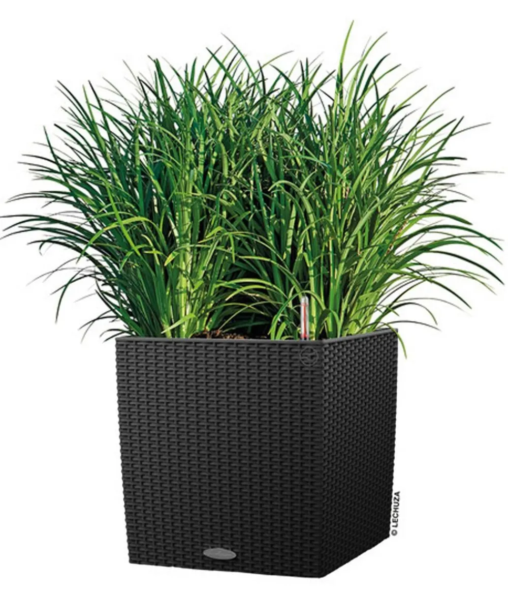 LECHUZA® Lechuza Pflanzgefäße & Töpfe|Blumentöpfe & Übertöpfe - Kunststoff-Topf Cube Cottage, quadratisch Schwarz