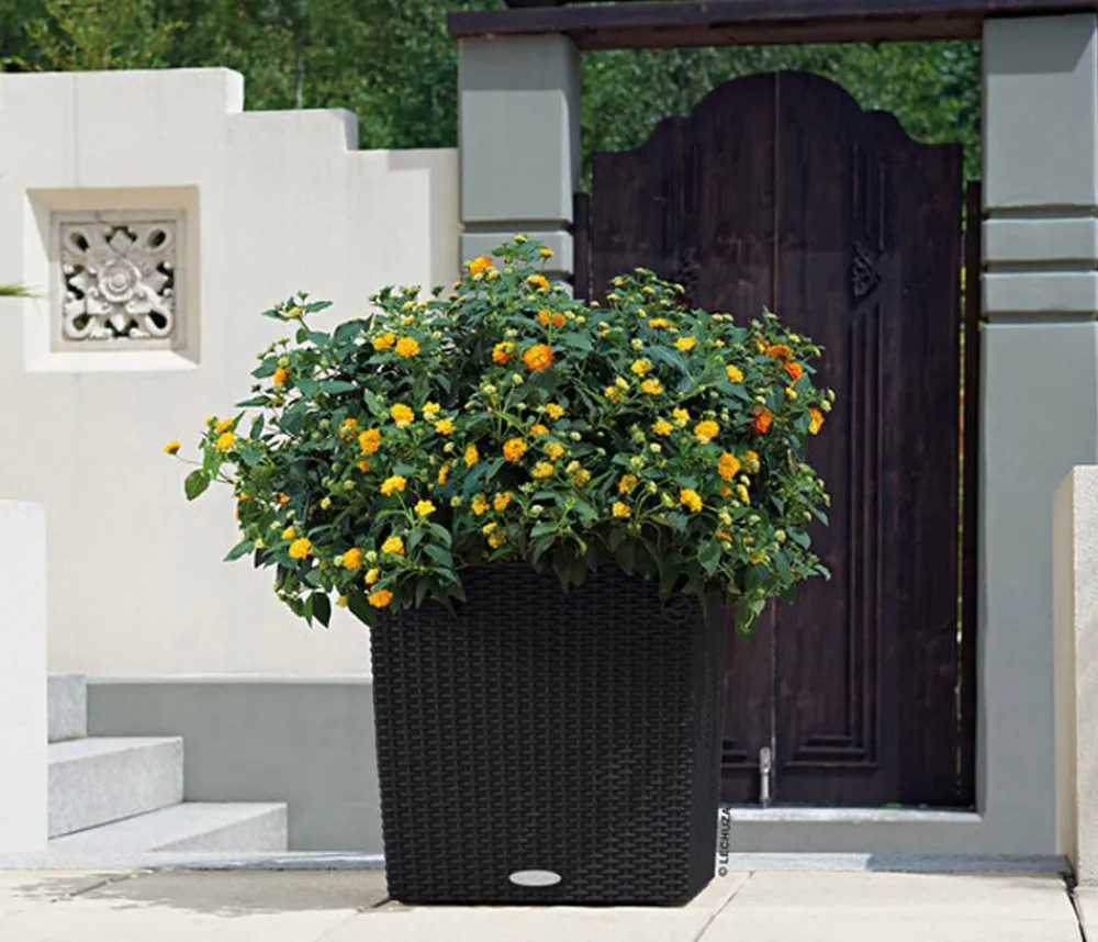 LECHUZA® Lechuza Pflanzgefäße & Töpfe|Blumentöpfe & Übertöpfe - Kunststoff-Topf Cube Cottage, quadratisch Schwarz
