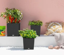 LECHUZA® Lechuza Pflanzgefäße & Töpfe|Blumentöpfe & Übertöpfe - Kunststoff-Topf Cube Cottage, quadratisch Schwarz