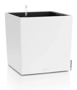 LECHUZA® Lechuza Pflanzgefäße & Töpfe - Kunststoff-Topf Cube, rechteckig Weiß