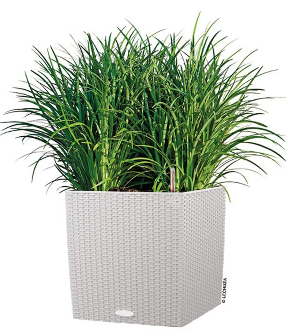 LECHUZA® Lechuza Pflanzgefäße & Töpfe|Blumentöpfe & Übertöpfe > Kunststoff-Topf Cube Cottage, quadratisch