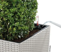 LECHUZA® Lechuza Pflanzgefäße & Töpfe|Blumentöpfe & Übertöpfe > Kunststoff-Topf Cube Cottage, quadratisch