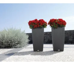 LECHUZA® Lechuza Pflanzgefäße & Töpfe|Blumentöpfe & Übertöpfe > Kunststoff-Topf Cubico Cottage, konisch
