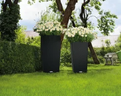 LECHUZA® Lechuza Pflanzgefäße & Töpfe|Blumentöpfe & Übertöpfe > Kunststoff-Topf Cubico Cottage, konisch