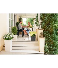 LECHUZA® Lechuza Pflanzgefäße & Töpfe|Blumentöpfe & Übertöpfe > Kunststoff-Topf Cubico Cottage, konisch