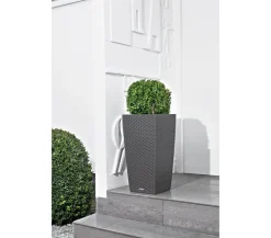 LECHUZA® Kunststoff-Topf Cubico Cottage, konisch Dunkelgrau Best