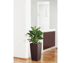 LECHUZA® Lechuza Pflanzgefäße & Töpfe|Blumentöpfe & Übertöpfe - Kunststoff-Topf Cubico Cottage, konisch Braun