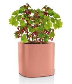 LECHUZA® Lechuza Pflanzgefäße & Töpfe|Blumentöpfe & Übertöpfe > Kunststoff-Topf PILA Color Planter, quadratisch, ca. B35/H33/T35 cm