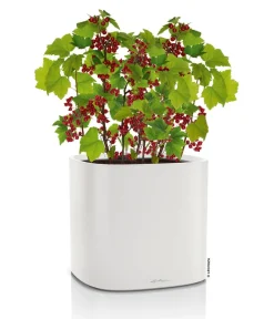 LECHUZA® Lechuza Pflanzgefäße & Töpfe|Blumentöpfe & Übertöpfe - Kunststoff-Topf PILA Color Planter, quadratisch, ca. B35/H33/T35 cm Hellgrau