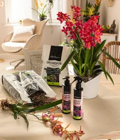 LECHUZA® ORCHIDEA, All-in-One Set, ca. Ø18/H20 cm Weiß Hot