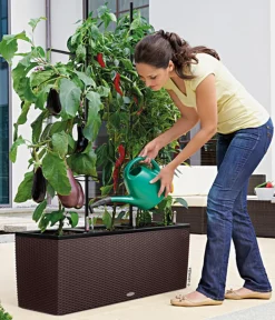 LECHUZA® Pflanzkübel & Blumenkästen|Lechuza Pflanzgefäße & Töpfe > Polyrattan-Kasten Trio Cottage, rechteckig