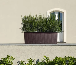 LECHUZA® Pflanzkübel & Blumenkästen|Lechuza Pflanzgefäße & Töpfe > Polyrattan-Kasten Trio Cottage, rechteckig