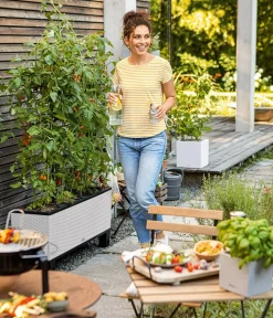LECHUZA® Pflanzkübel & Blumenkästen|Lechuza Pflanzgefäße & Töpfe > Polyrattan-Kasten Trio Cottage, rechteckig
