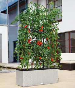 LECHUZA® Pflanzkübel & Blumenkästen|Lechuza Pflanzgefäße & Töpfe > Polyrattan-Kasten Trio Cottage, rechteckig