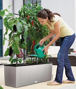 LECHUZA® Pflanzkübel & Blumenkästen|Lechuza Pflanzgefäße & Töpfe > Polyrattan-Kasten Trio Cottage, rechteckig