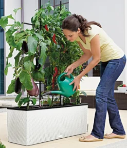 LECHUZA® Polyrattan-Kasten Trio Cottage, rechteckig Weiß Sale