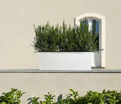 LECHUZA® Polyrattan-Kasten Trio Cottage, rechteckig Weiß Sale
