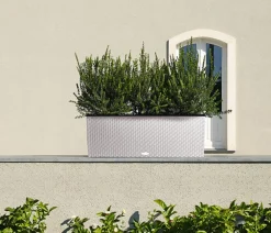 LECHUZA® Polyrattan-Kasten Trio Cottage, rechteckig Hellgrau Clearance