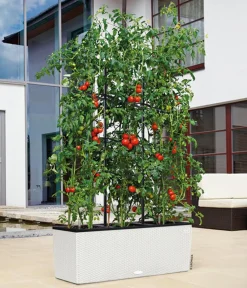 LECHUZA® Polyrattan-Kasten Trio Cottage, rechteckig Weiß Online