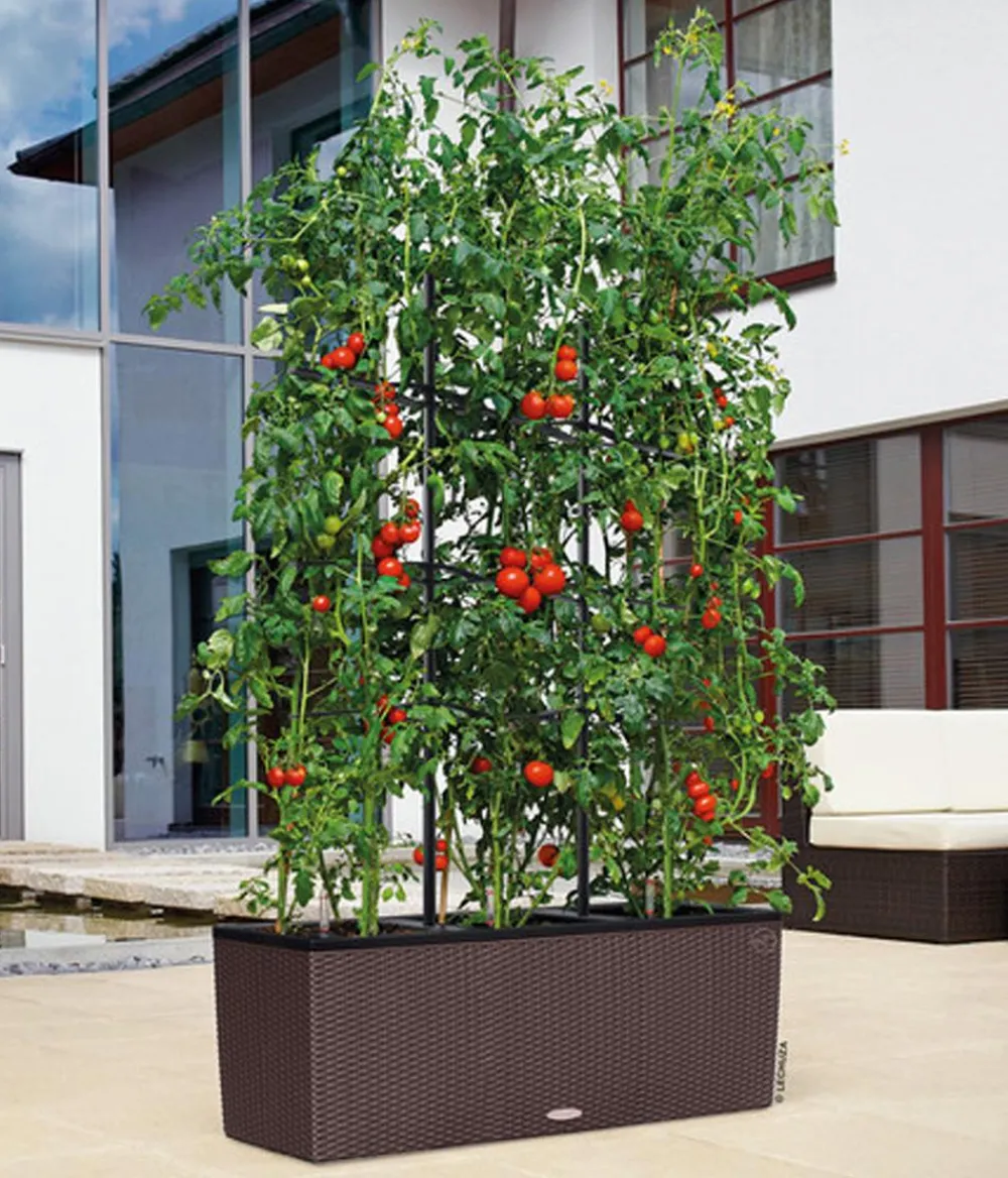 LECHUZA® Pflanzkübel & Blumenkästen|Lechuza Pflanzgefäße & Töpfe - Polyrattan-Kasten Trio Cottage, rechteckig Braun